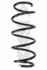 SPIDAN 86679 Coil Spring